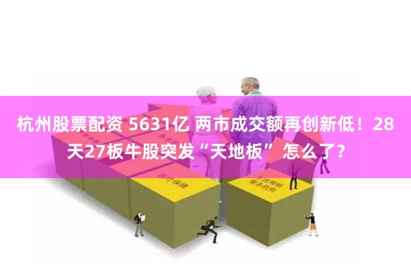 杭州股票配资 5631亿 两市成交额再创新低！28天27板牛股突发“天地板” 怎么了？