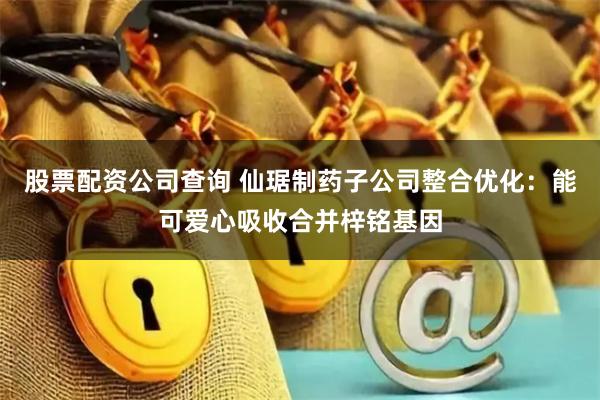 股票配资公司查询 仙琚制药子公司整合优化：能可爱心吸收合并梓铭基因